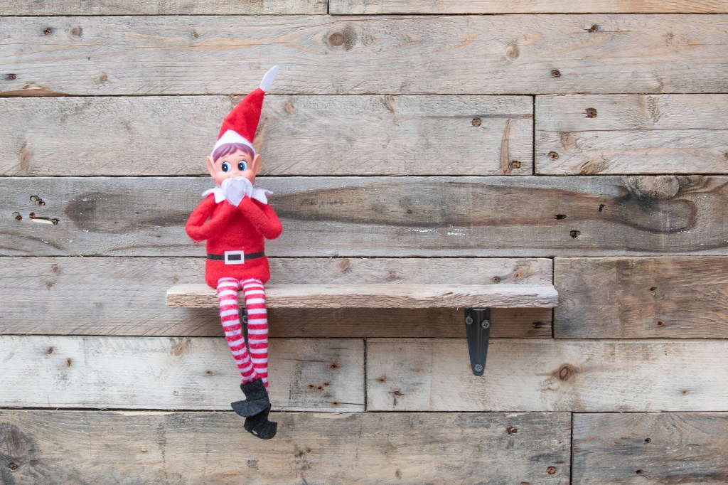 A small elfi sitting on a wooden shelf