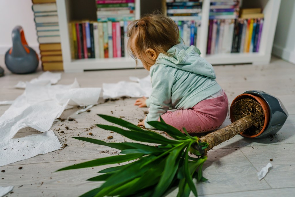 Caucasian baby causing clutter at home by tearing a paper towel and pressing a floral pot on the floor