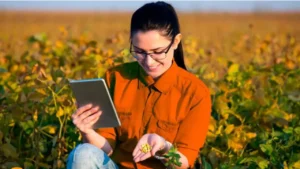 Como Conseguir Crédito para Investir no Agronegócio
