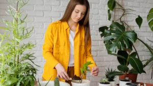 Como Ganhar Dinheiro com casa e jardim