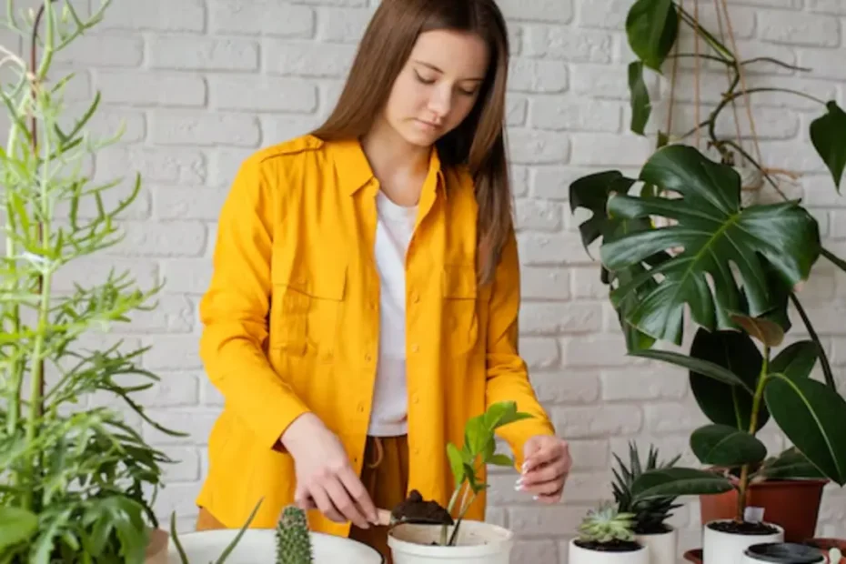 Como Ganhar Dinheiro com casa e jardim