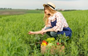 Solo Grampeado Técnicas e Vantagens para o Agronegócio